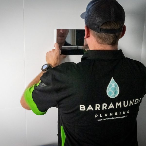 Barramundi Plumbing Brisbane services include renovations and new home projects